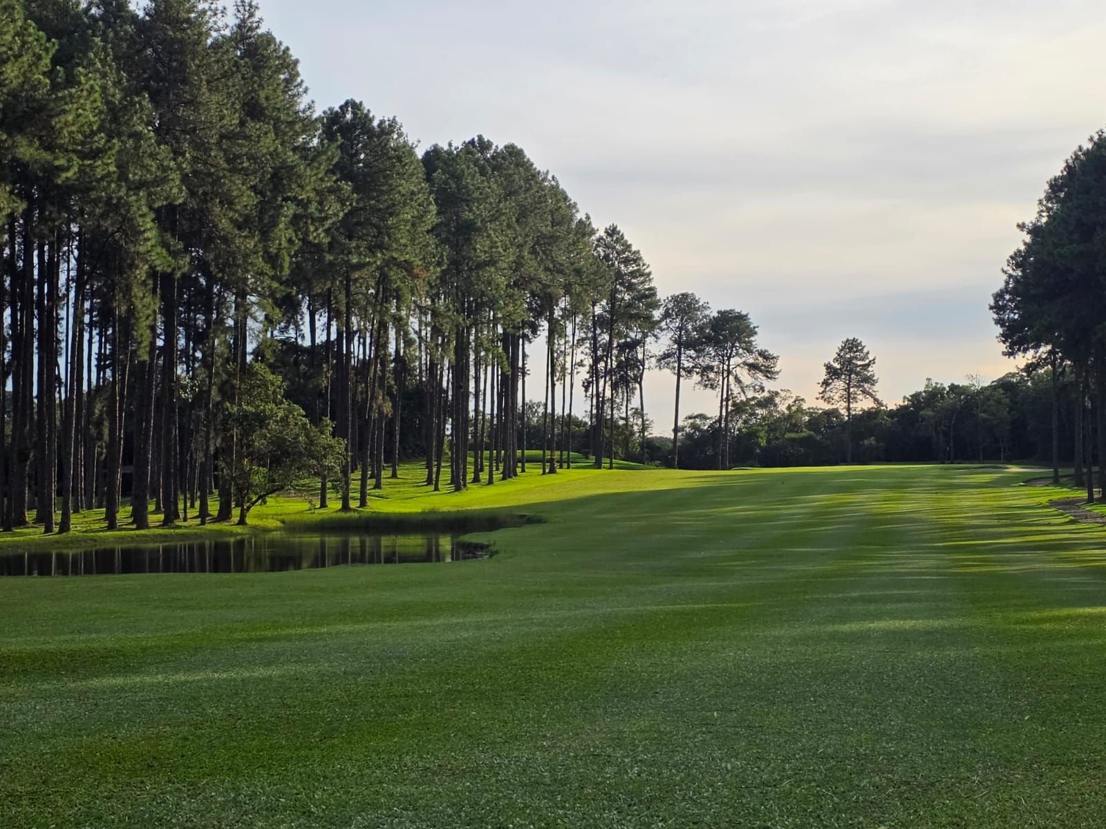 Fairway do Riacho Grande cercado de pinheiros, com lago à esquerda