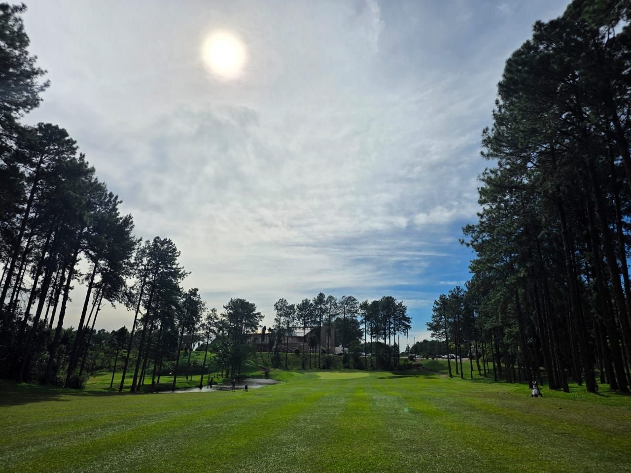 Fairway do Riacho Grande Golfe Clube entre pinheiros